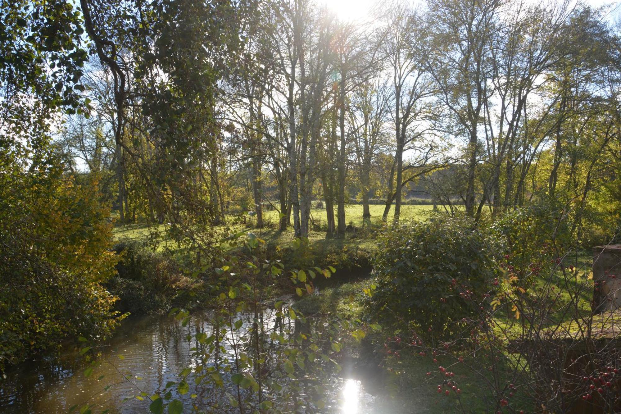 Le Moulin Grenon Bed & Breakfast Mezilles Luaran gambar